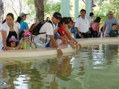 Vallarta MedVentures Las Caletas Beach Hideaway Tour, Couple Dining