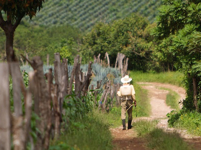 Vallarta MedVentures San Sebastian Tour, Mountain View 