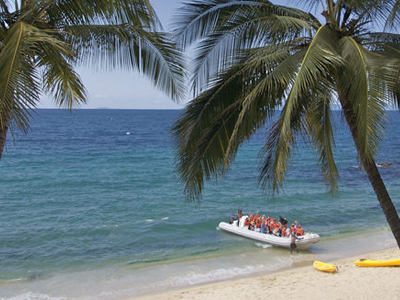 Vallarta MedVentures Sea Safari, Beach